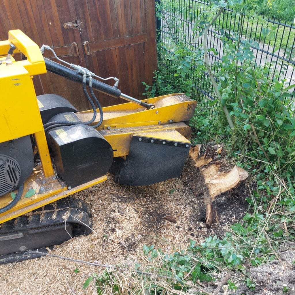 Boomstronk frezen en boom kappen in Hoofddorp